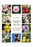 Achtsam durch die zehn Jahreszeiten (eBook, ePUB)