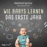 Wie Babys lernen - das erste Jahr... - Bild 1