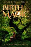 Birth of Magic: A Sun-Blessed Trilogy Novella (eBook, ePUB)