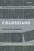 Colossians: An Introduction and Study Guide (eBook, PDF)