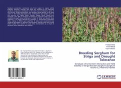 Breeding Sorghum for Striga and Drought Tolerance
