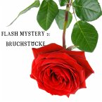 Flash Mystery 2: Bruchstücke (MP3-Download)