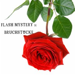 Flash Mystery 2: Bruchstücke (MP3-Download) - Schwarz, Christina