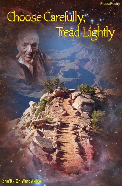 Choose Carefully Tread Lightly (eBook, ePUB)