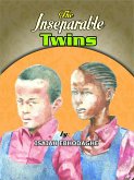 Inseparable Twins (eBook, ePUB) Inseparable Twins (eBook, ePUB)