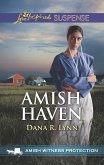 Amish Haven (eBook, ePUB)