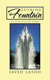 Gushing Fountain (eBook, ePUB)