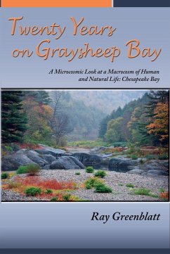 Twenty Years on Graysheep Bay (eBook, ePUB)