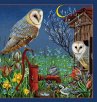 Kleine Vogel-Wunderkammer - Bild 1
