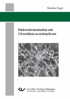 Elektrofermentation mit Clostridium acetobutylicum - Engel, Mareike