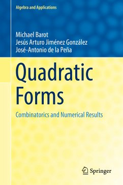 Quadratic Forms (eBook, PDF) - Barot, Michael; Jiménez González, Jesús Arturo; de la Peña, José-Antonio