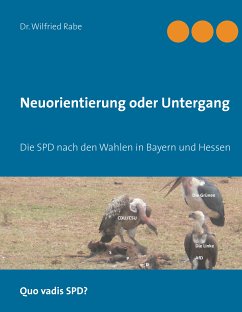 Neuorientierung oder Untergang (eBook, ePUB) - Rabe, Wilfried