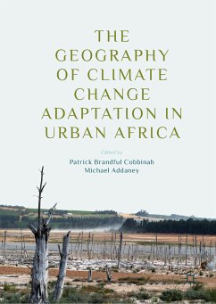 The Geography of Climate Change Adaptation in Urban Africa (eBook, PDF)