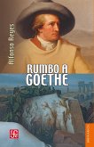 Rumbo a Goethe (eBook, ePUB)