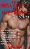 The Mega Bundle of Gay Erotica: Volume 3 (Gay Mega Bundle, #3) (eBook, ePUB)