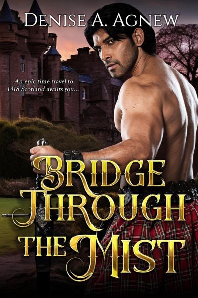Bridge Through The Mist (eBook, ePUB)
