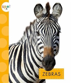 Cover Zebras