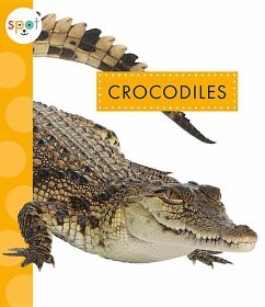 Crocodiles - Klukow, Mary Ellen