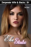 Desperate Wife & Blacks: Ehestute (eBook, ePUB)