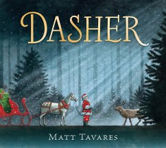 Dasher - Tavares, Matt