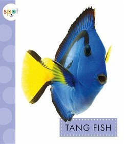 Tang Fish - Schuh, Mari C