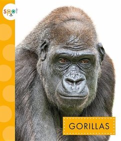 Gorillas - Klukow, Mary Ellen