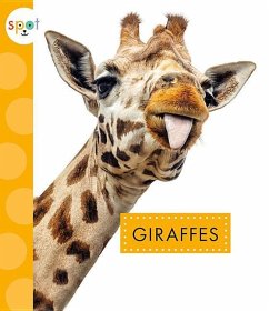 Giraffes - Klukow, Mary Ellen