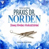 Praxis Dr. Norden 9 - Arztroman (MP3-Download)