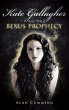 Kate Gallagher and the Bexus Prophecy - Bild 1