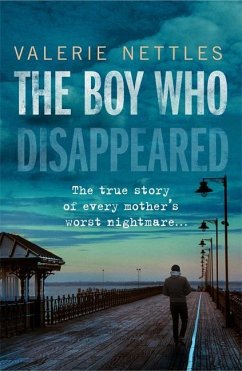 The Boy Who Disappeared - Nettles, Valerie