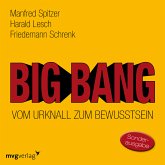 Big Bang: Vom Urknall zum Bewusstsein (MP3-Download)