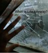 What Is Life Anyway? (eBook, ePUB) - Bild 1