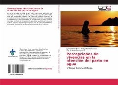 Percepciones de vivencias en la atención del parto en agua - López Mora, Gloria;Fernández, Blanca Flor;Contreras M., Ma. de Jesus
