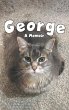 George: a Memoir (eBook, ePUB) - Bild 1
