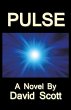 Pulse (eBook, ePUB) - Bild 1