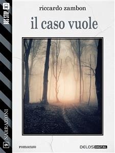 Il caso vuole (eBook, ePUB) - Zambon, Riccardo