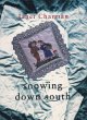 Snowing Down South (eBook, ePUB) - Bild 1
