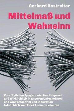 Mittelmaß und Wahnsinn (eBook, ePUB) - Hastreiter, Gerhard