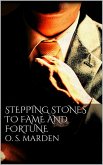 Stepping Stones to Fame and Fortune (eBook, ePUB)