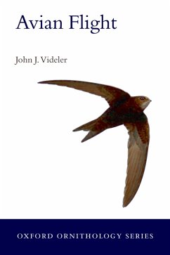 Avian Flight (eBook, ePUB) - Videler, John J.