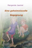 Eine geheimnisvolle Begegnung (eBook, ePUB)