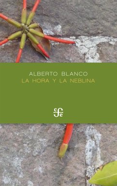 La hora y la neblina (eBook, PDF) - Blanco, Alberto
