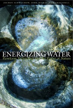 Energizing Water (eBook, ePUB) - Schwuchow, Jochen; Wilkes, John; Trousdell, Iain