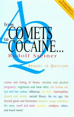 From Comets to Cocaine... (eBook, ePUB) - Steiner, Rudolf