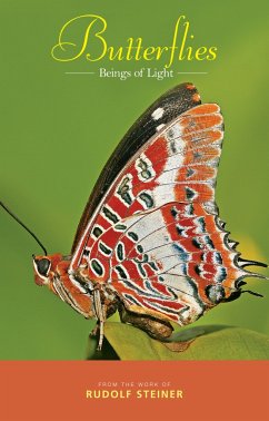 Butterflies (eBook, ePUB) - Steiner, Rudolf