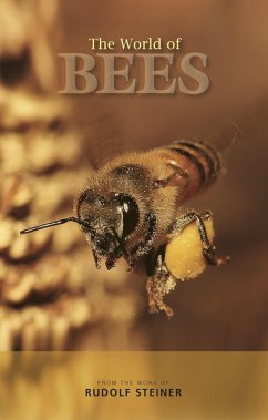 The World of Bees (eBook, ePUB) - Steiner, Rudolf