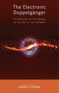 The Electronic Doppelganger (eBook, ePUB) - Steiner, Rudolf