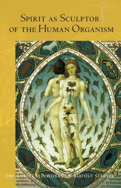 Spirit as Sculptor of the Human Organism (eBook, ePUB) - Steiner, Rudolf