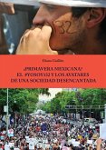 ¿Primavera Mexicana? El #YoSoy132 y los avatares de una sociedad desencantada (eBook, ePUB)