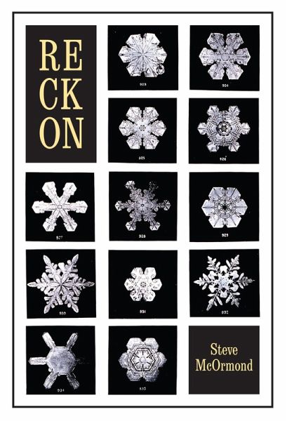 Reckon (eBook, ePUB) Reckon (eBook, ePUB)